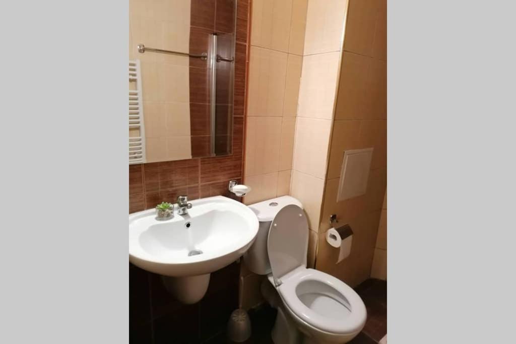 Sunny Studio Apartment - Few Steps From Gondola Bansko Exterior foto