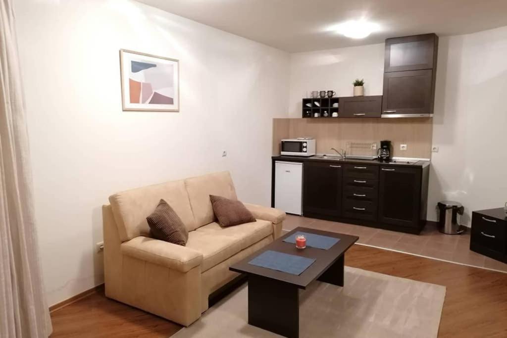 Sunny Studio Apartment - Few Steps From Gondola Bansko Exterior foto